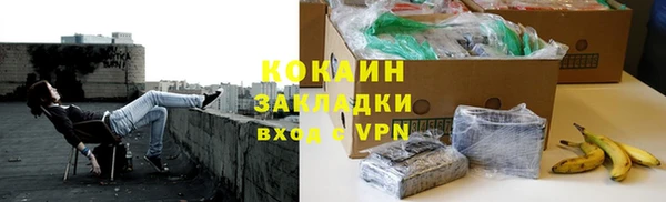 прущие грибы Заволжск