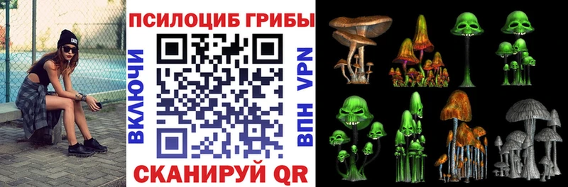 Псилоцибиновые грибы Magic Shrooms  сколько стоит  Россошь 