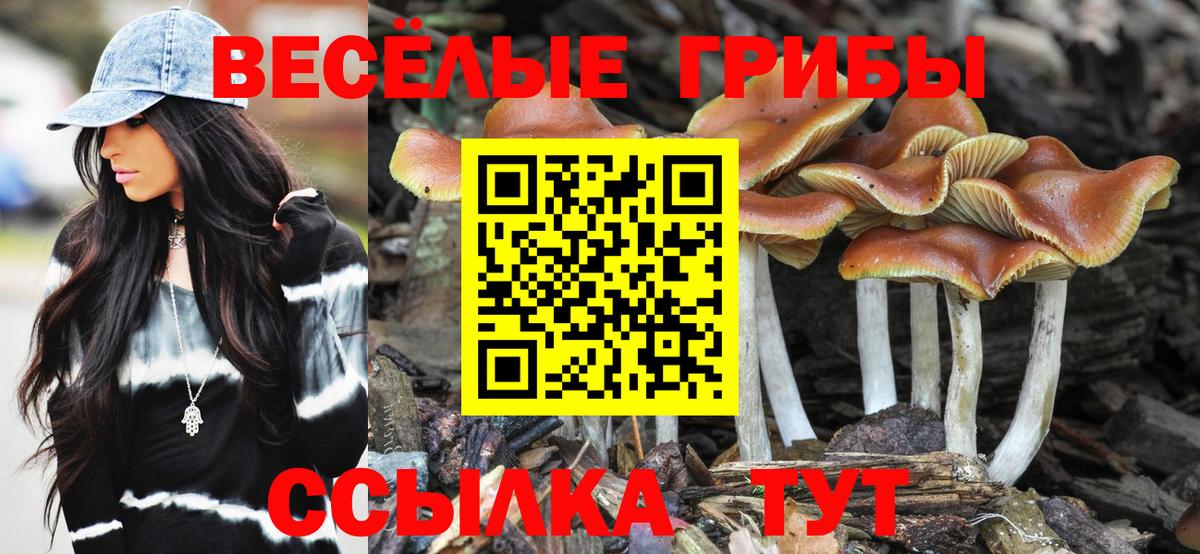 хочу наркоту  Галлюциногенные грибы MAGIC MUSHROOMS  Вход с VPN  Галлюциногенные грибы Cubensis  Россошь 